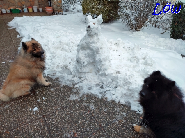22.1.2023 - Drei Hunde? im Schnee